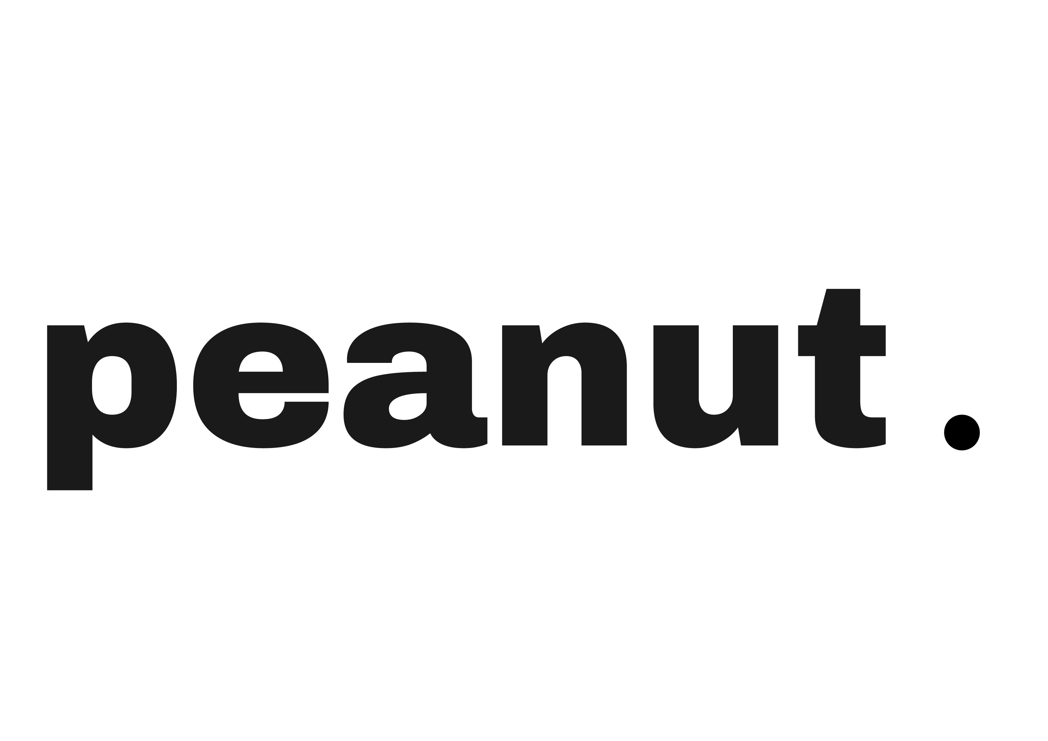 logo-designer-brand-consultant-peanut-designs